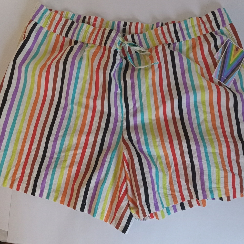Unisex Pride Shorts, Size 2X